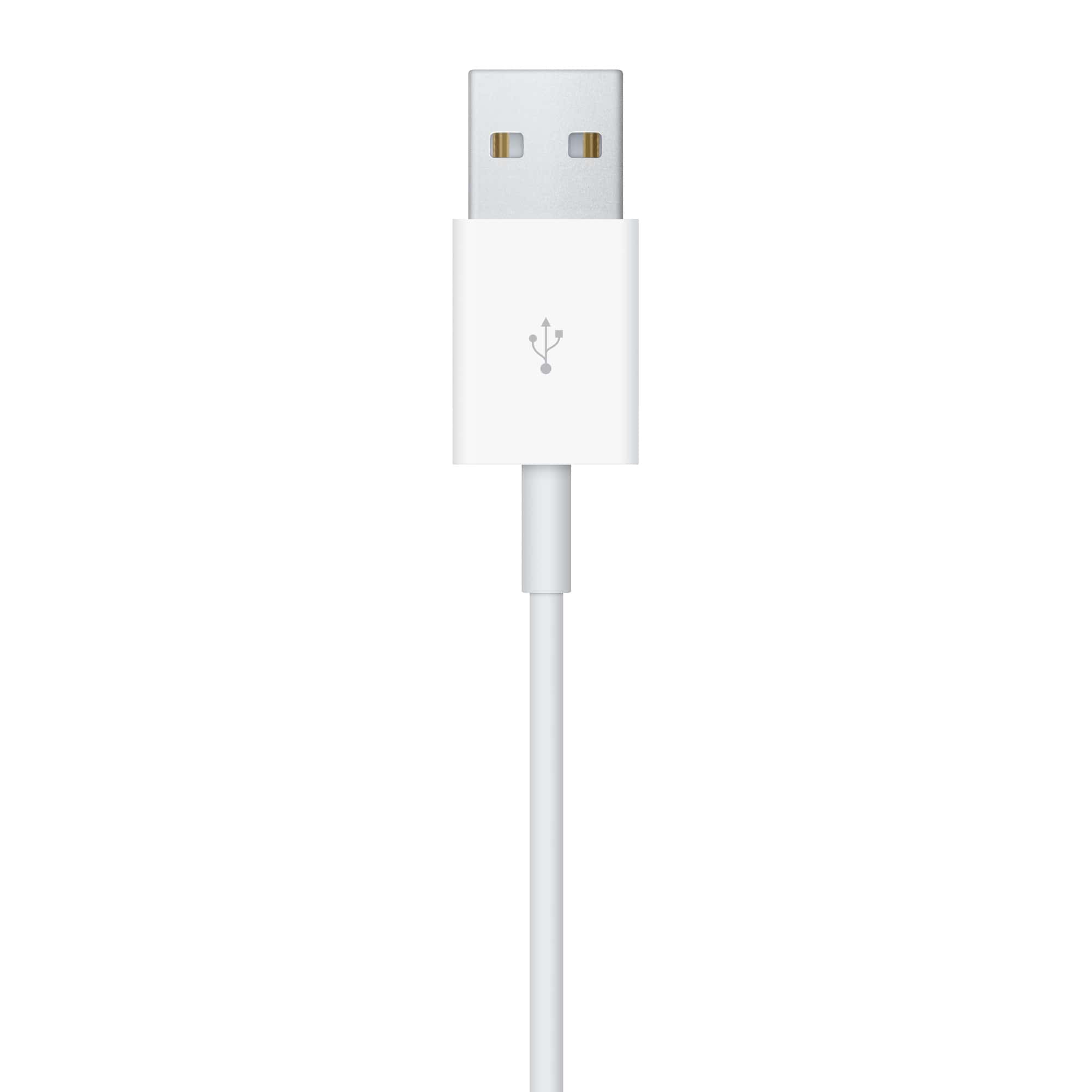 Apple Watch Magnetisches Ladekabel (1 m)