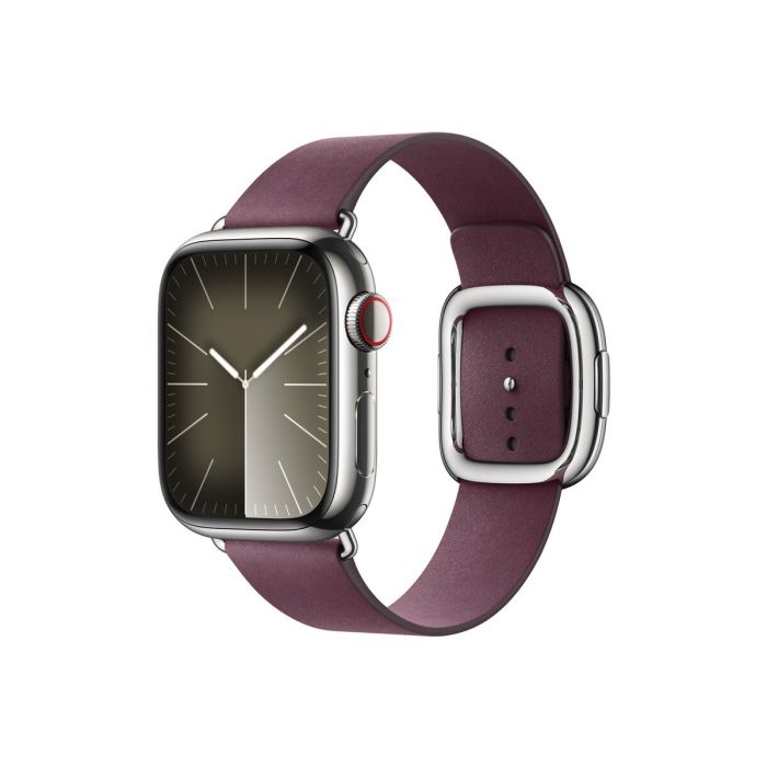 Hebilla moderna - Correa de reloj