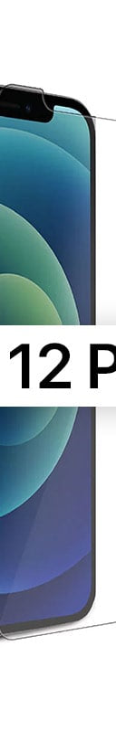Displayschutz 9D iPhone 12 Pro Max