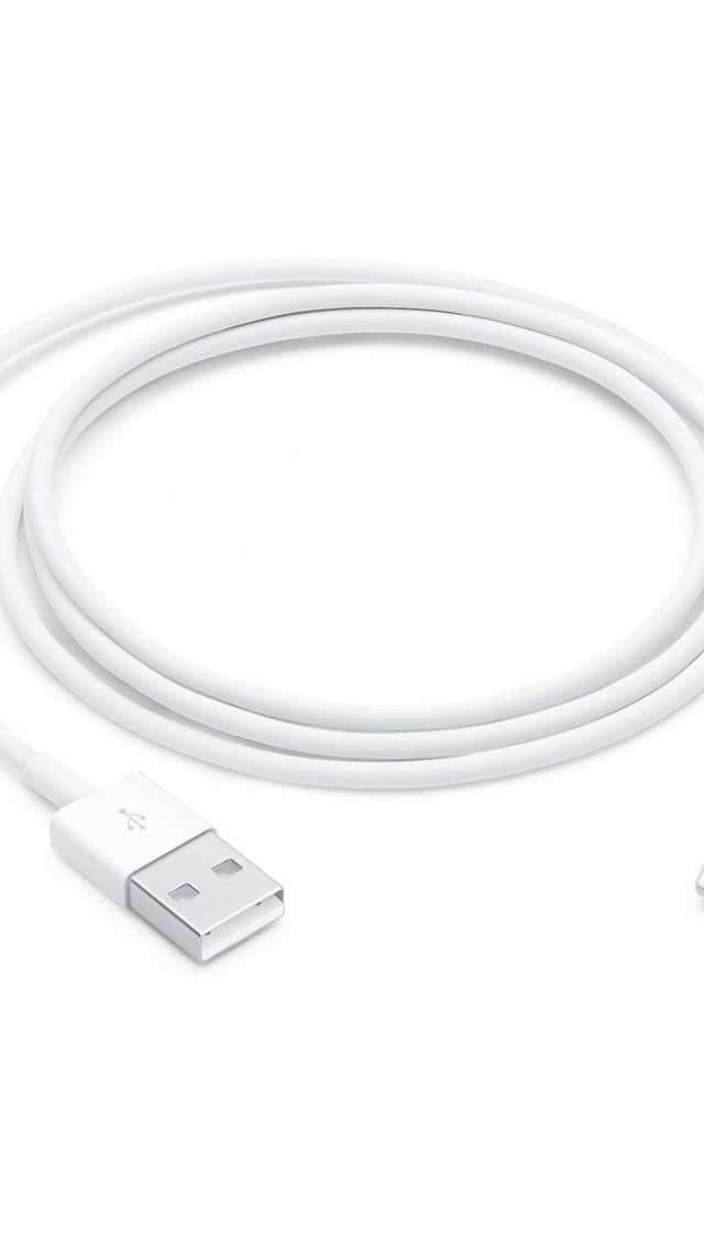 Lightning to USB Cable (1 m)