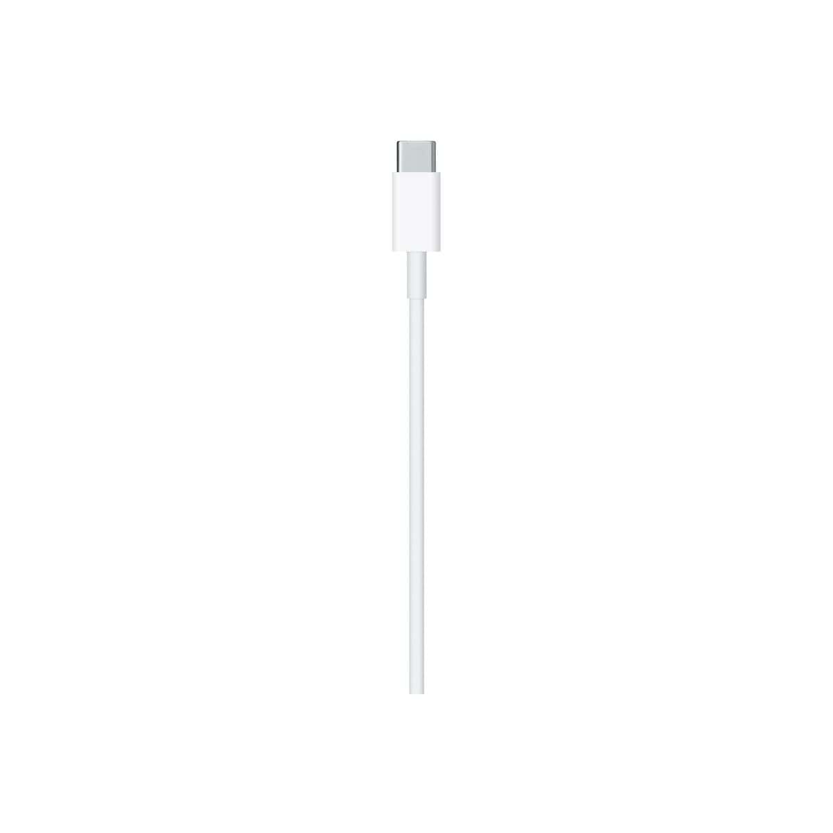 USB-C to Lightning Cable (1 m)