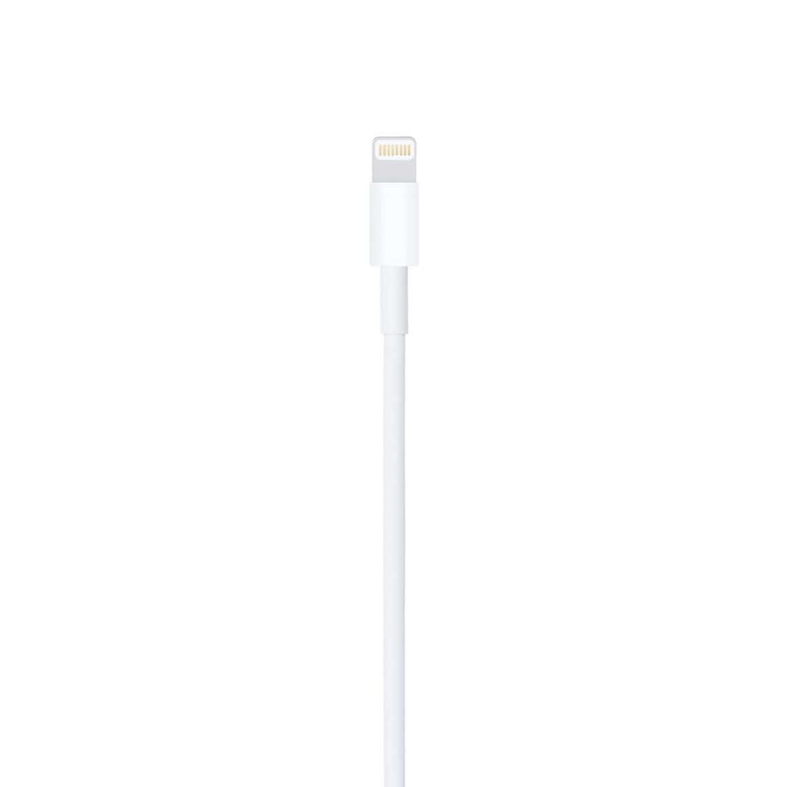 USB-C to Lightning Cable (2 m)