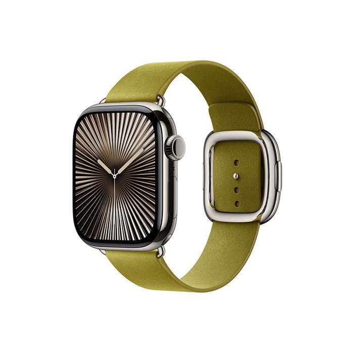 Modern Buckle - Watch Band