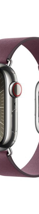 Modern Buckle - Watch Band